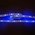 5011100299_Flexible LED SMD 5050 12V RGB_blau